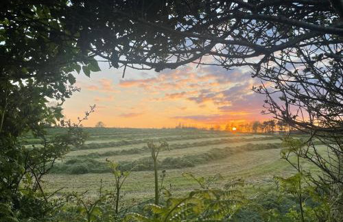 Hillview Haven - Photo 3