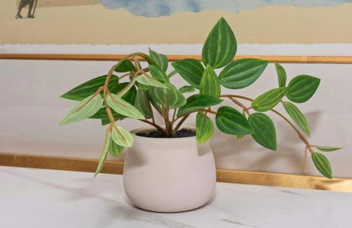 Spacious Single Level Home In Poway - Foto 32