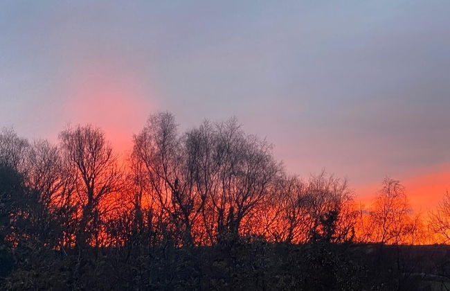 Tranquil Cabin Retreat Near Chepstow - Foto 19