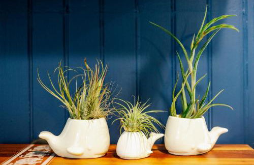 NEW Whaler Inn- Nautical Magic Hilo Downtown - Foto 7