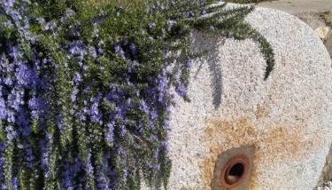 Le Macine di San Salvadore - Foto 3, Garden, Garden view