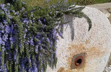 Le Macine di San Salvadore - Foto 3