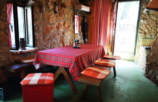 Apartment Viktor Filozici - Foto 15