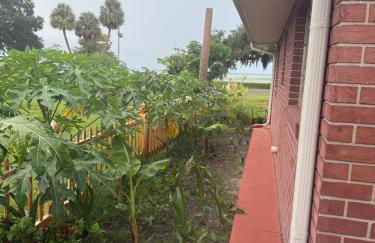 Family retreat with lake views and near Disney - Foto 68