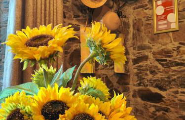 Azoka by the River- Proença-a-Nova - Foto 15