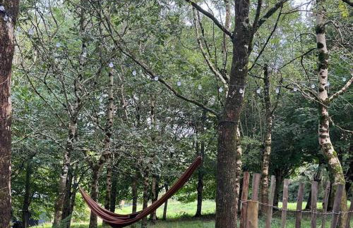 Cornwall Woodland Shepherd's Hut with Hot Tub - Deirdres Hut - Foto 10