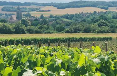 Le gite du pigeonnier - Foto 14