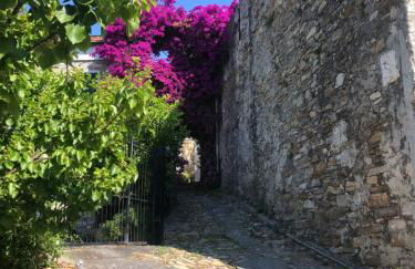 Casa Relax, un uliveto sul mare. - Foto 20