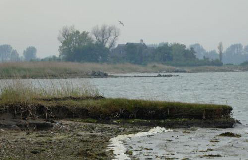 Ferienhaus Silbermöwe - Foto 12