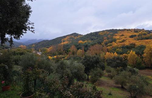 Casa rural Villa Manuela - Photo 36