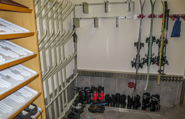 Alpenflora - Foto 17