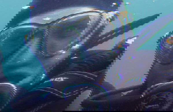 Los Cristianos PADI Open Water Scuba Diving Course - Photo 1