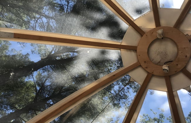 Domaine de la Tuilière - Foto 16