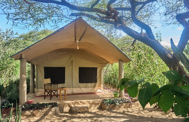 Tindiga Tented Camp - Foto 41