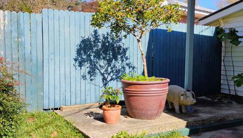 Mid-Century Modern meets Cajun Creole - Foto 2, Garden view