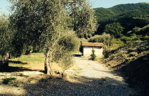 Casa vacanze gli ulivi - Foto 31