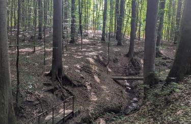 Wintertraum in Damm - 70 qm Wellness & Wohlfühl-Atmosphäre - Foto 57