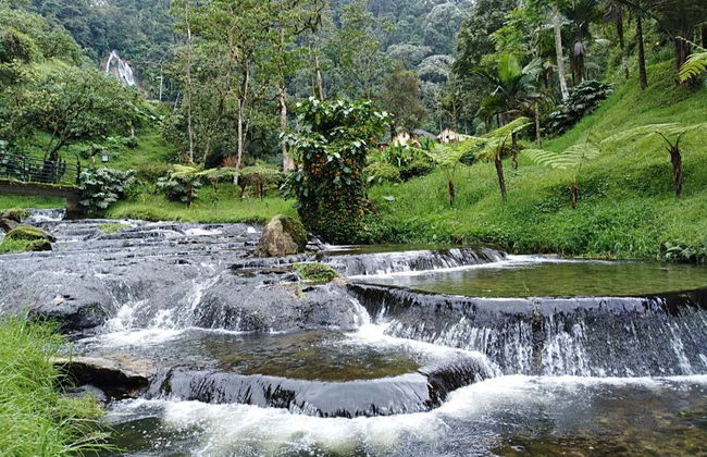 Excursión privada a las termales de Santa Rosa de Cabal - Foto 1