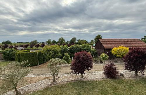 Agroturystka Jaśkowo - Foto 41