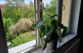 Apart Krakowska 41 - Foto 16