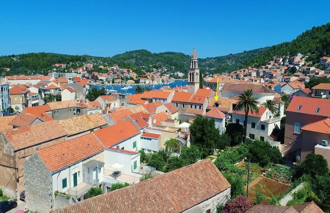 Studio Joković - Foto 25