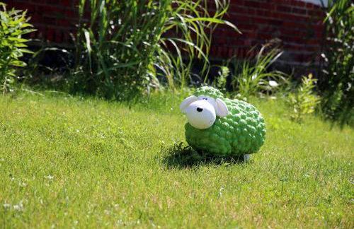 Uroczysko Skomackie - Foto 29