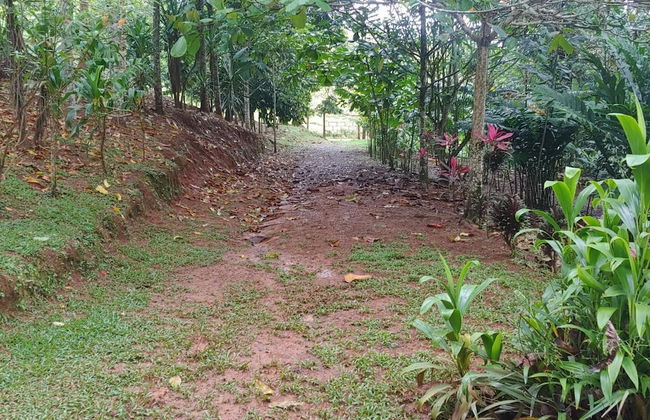 Jaco-carara 3 Bdrm Surrounded by Rainforest With Private Pool - Foto 37