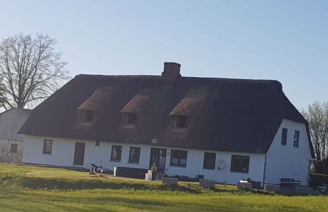 Old Tenne Under Reet in a Single Position - Photo 33