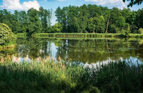 Agroturystyka u Wojtka - Foto 36