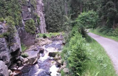 Mountain Bliss in Borstendorf - Foto 37