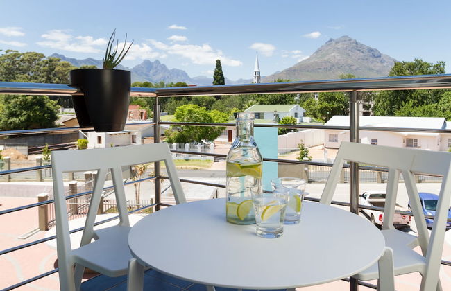 WINK Quiver Tree - Foto 36