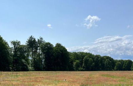 HAEVN Altes Pfarrhaus Marienfließ - Foto 78