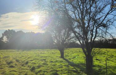 Tranquil Equestrian Escape - Sleeps 2 - Foto 18