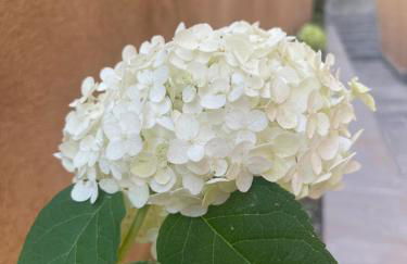 Dimora Rosaspina - Foto 49