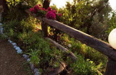 Dialiskari #2 - Foto 22