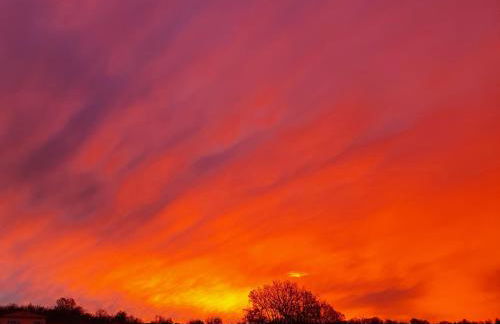 Les contemplations - Photo 6