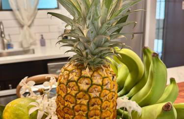 Ocean view Mauna Loa Shores Kai Ekahi #201 next to Carlsmith Beach Park Hilo HI - Foto 19