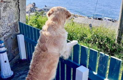 Hill Crest - Clifftop Escape with Sea View - Foto 37