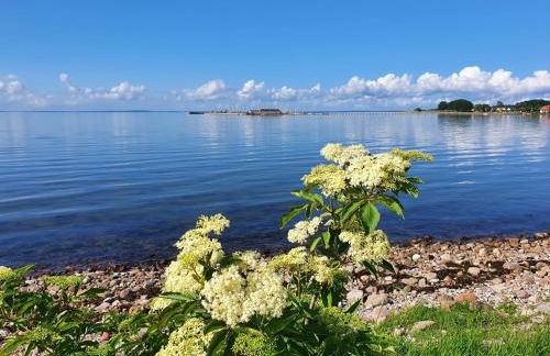 Ferienwohnung Hafenblick Ferienhof Geltinger Bucht - Foto 46