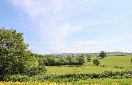 Bryn Bras - Photo 33