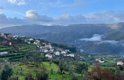 Quinta do Passal - Foto 53