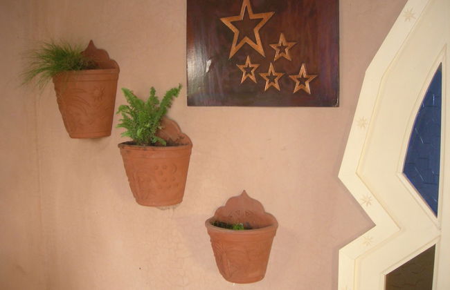 Le Jardin aux Etoiles - Foto 2