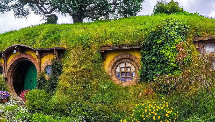 Excursión a Hobbiton + Cuevas de Waitomo