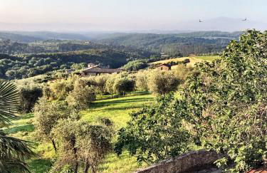 Borgo San Gusmè - Foto 21