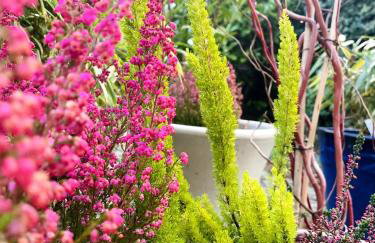 Apartment mit Garten - Garden view - Foto 18