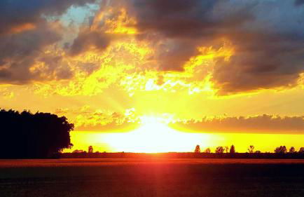 Ferienwohnungen Dirk Laurisch - Foto 52