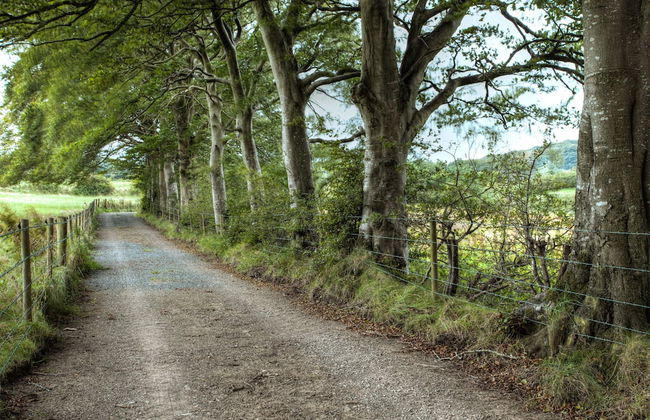 Ballylagan Organic Farm - Foto 30