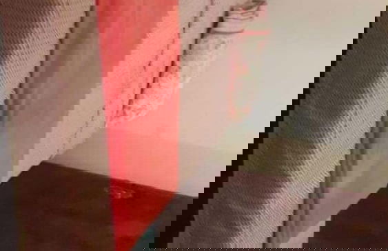 Casa Branca - Photo 4