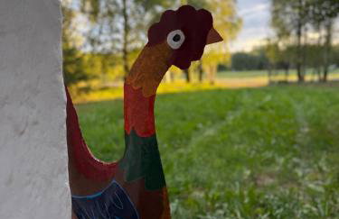 Domek Marianówka PRYWATNA BALIA OGRODOWA - Foto 14