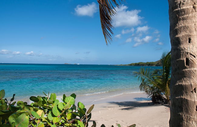 Mango Bay Resort - Foto 37